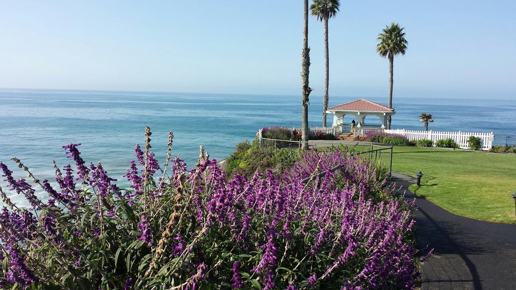 Shore Cliff Hotel Pismo Beach Kültér fotó